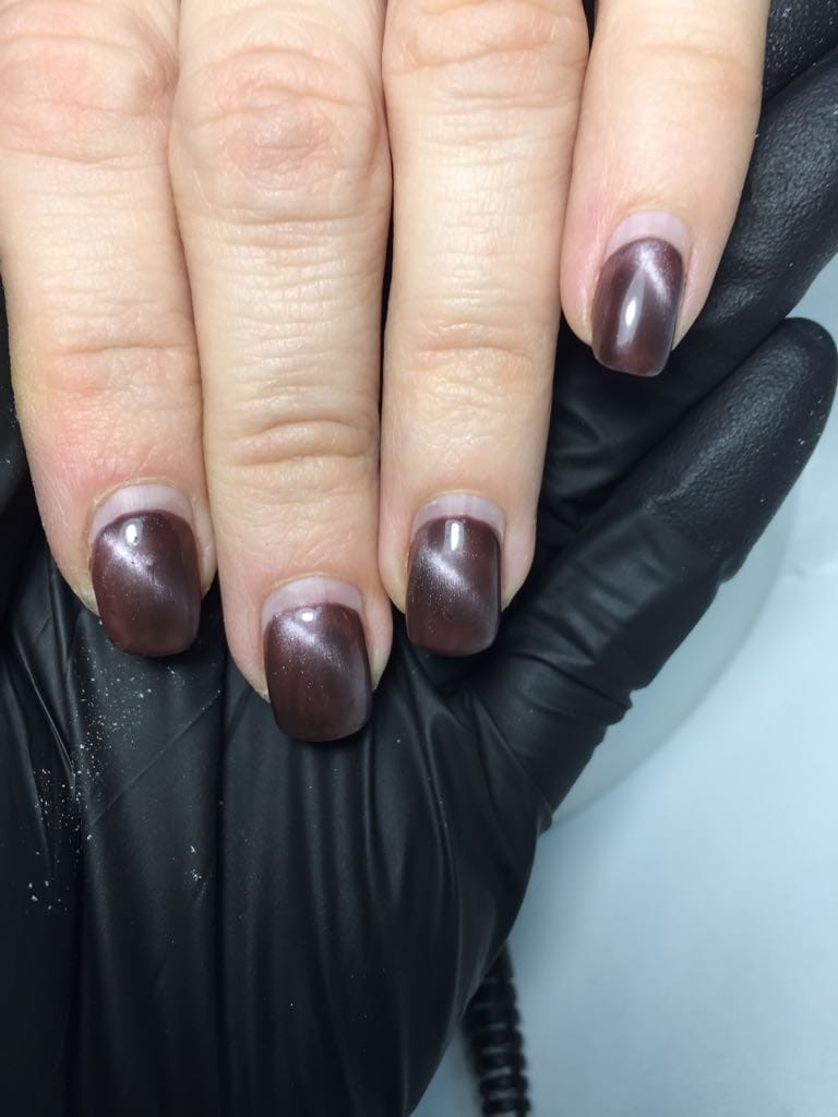 Nail Art Cat Eye Gel Polish